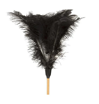 Feather Duster Long