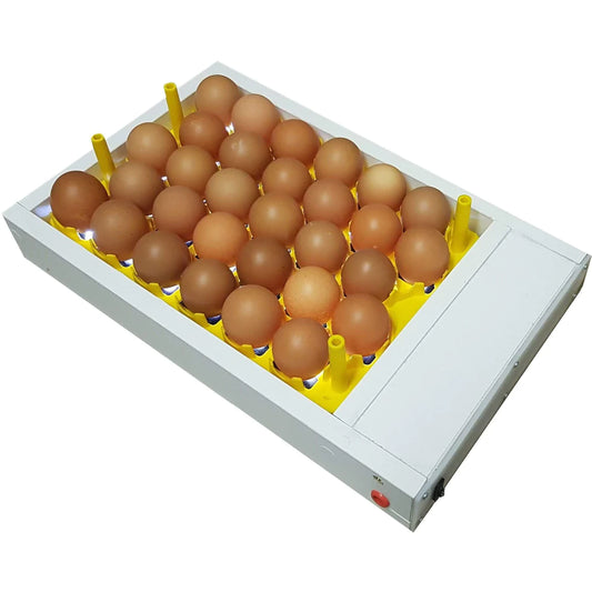 Egg Fertility Tester (Egg Candler) for 30 Chicken Egg